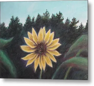 Spinning Flower Sun - Metal Print