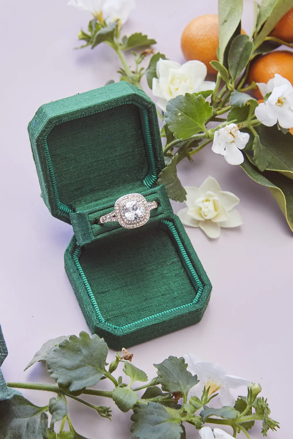 The Levi Proposal