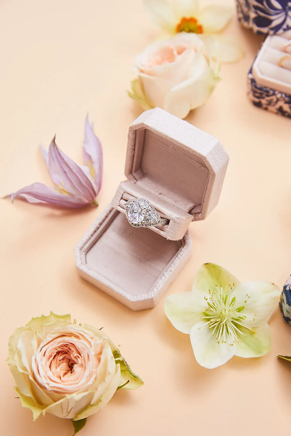 The Livy Proposal