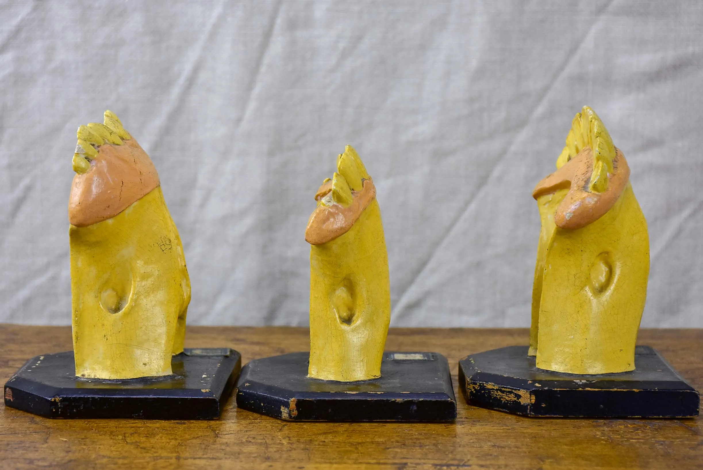 Three antique horse teeth molds from a Veterniary school