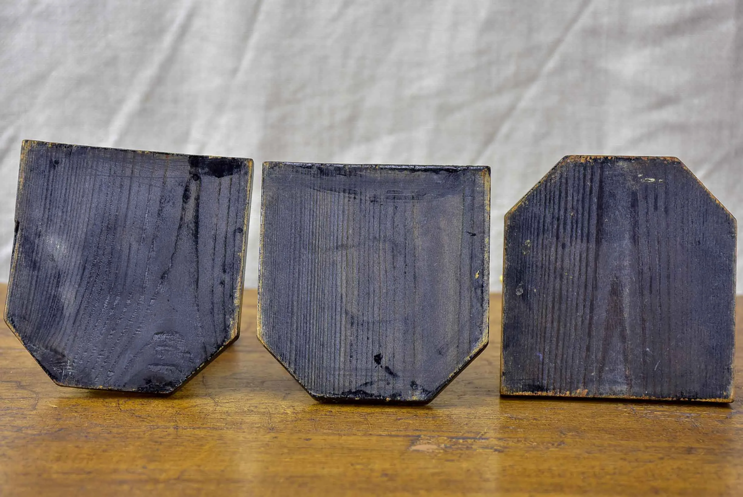 Three antique horse teeth molds from a Veterniary school