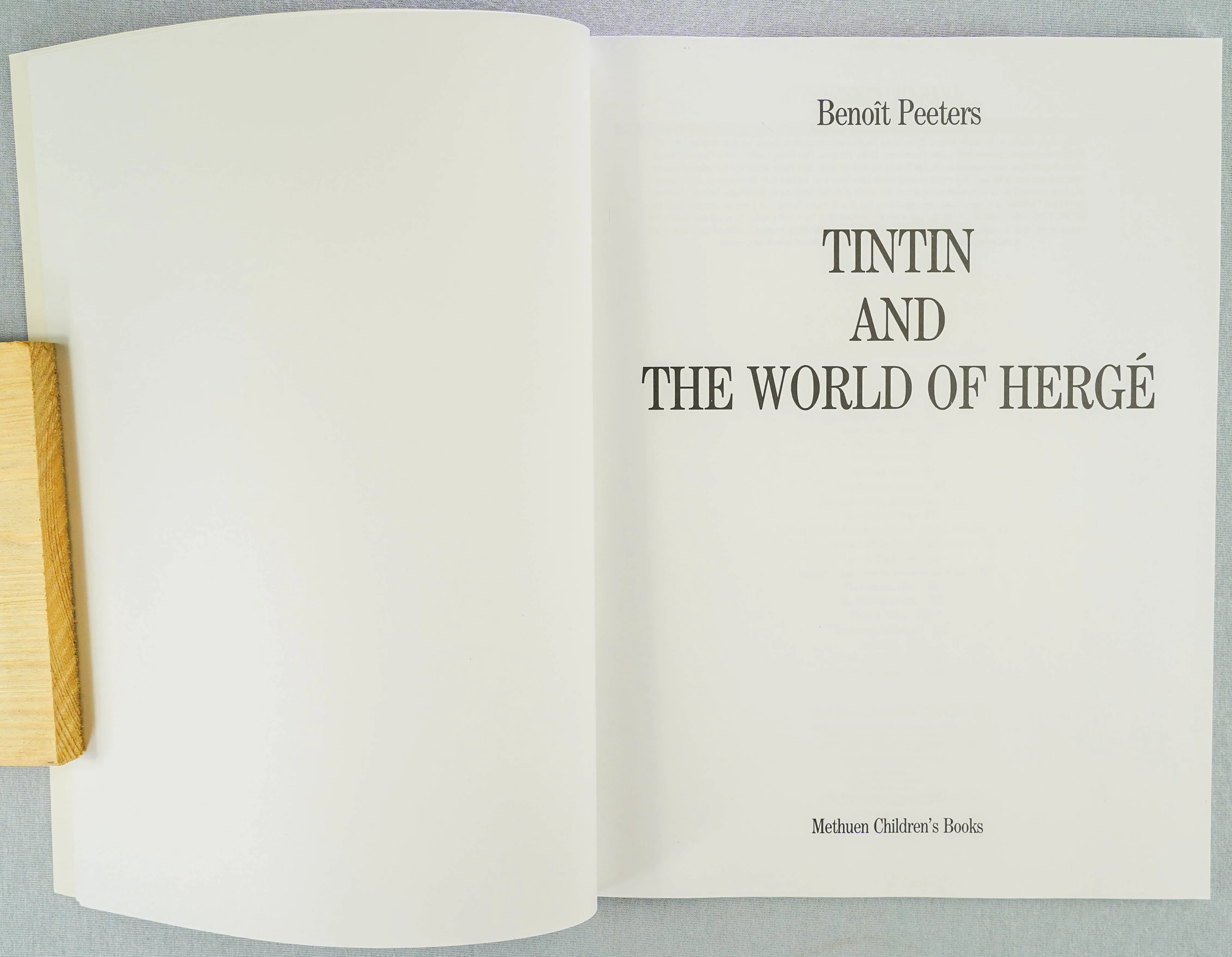 TINTIN & THE WORLD OF HERGE Methuen 1989 1st UK Edition Paperback book EO Benoit
