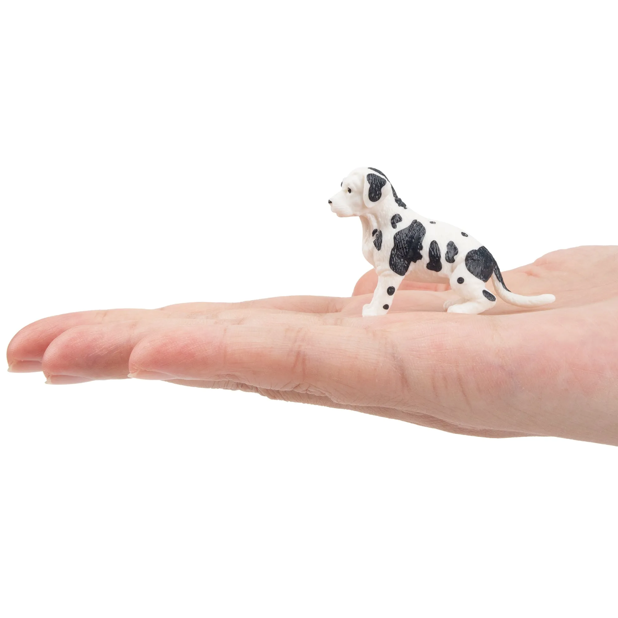 Toymany Mini Black and White Great Dane Puppy Figurine Toy