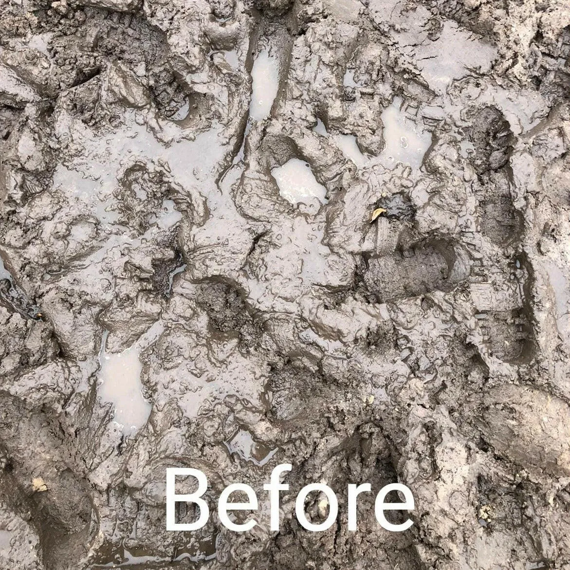 TurfSand Mix Sample