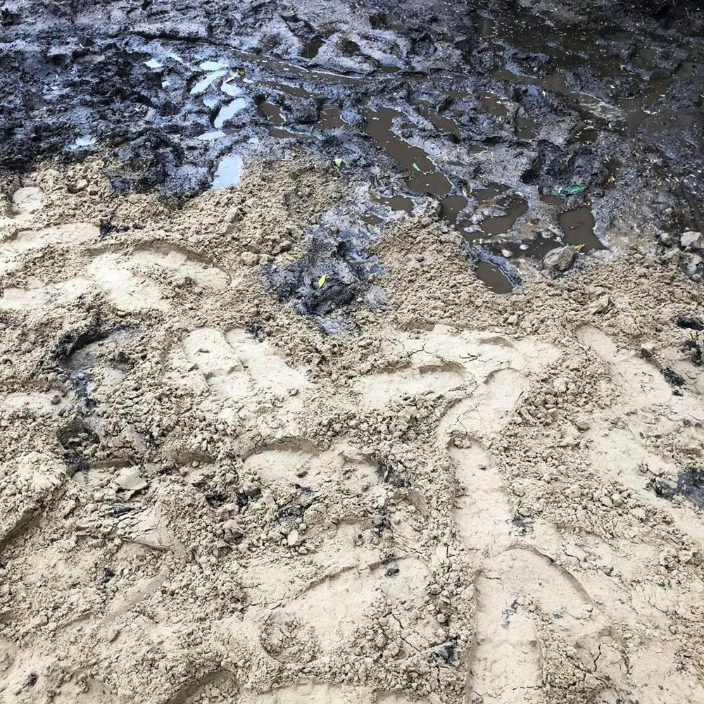 TurfSand Mix Sample