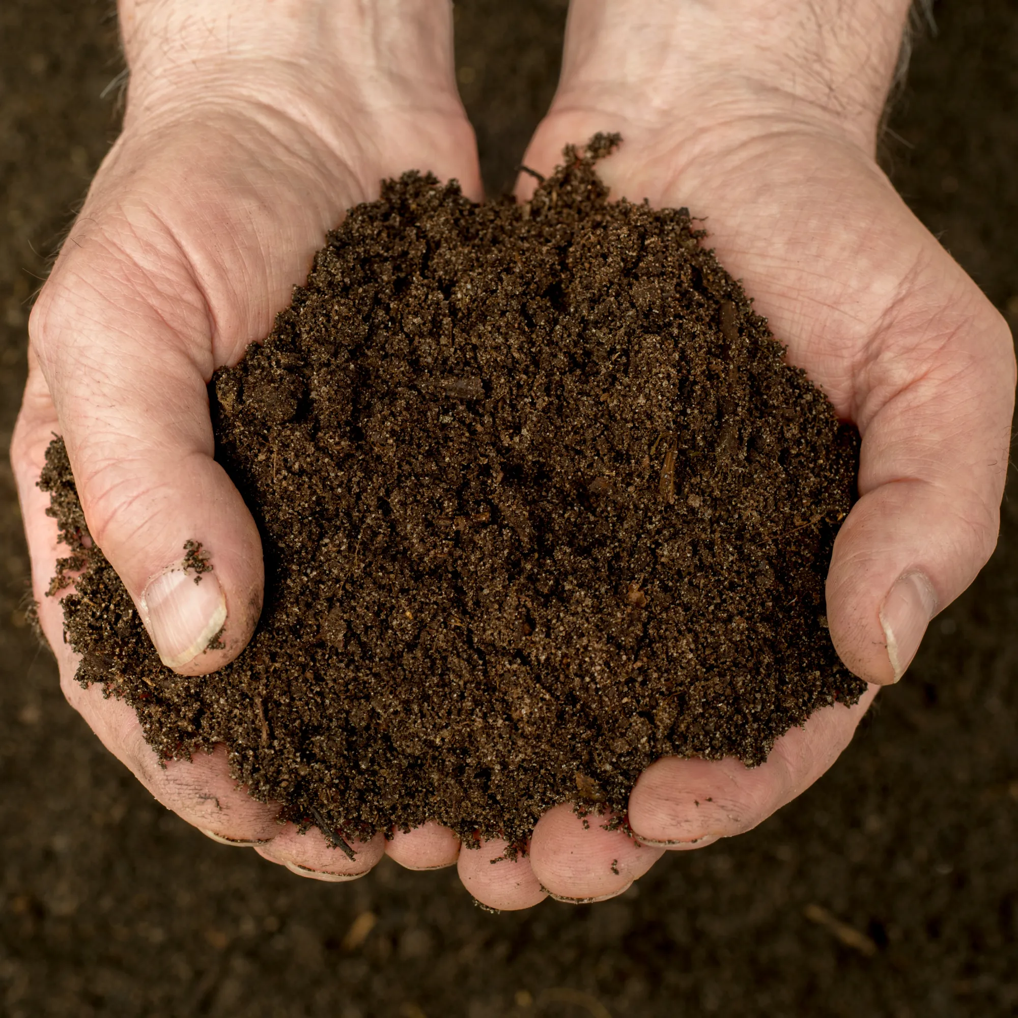 Vegegrow® Topsoil Sample