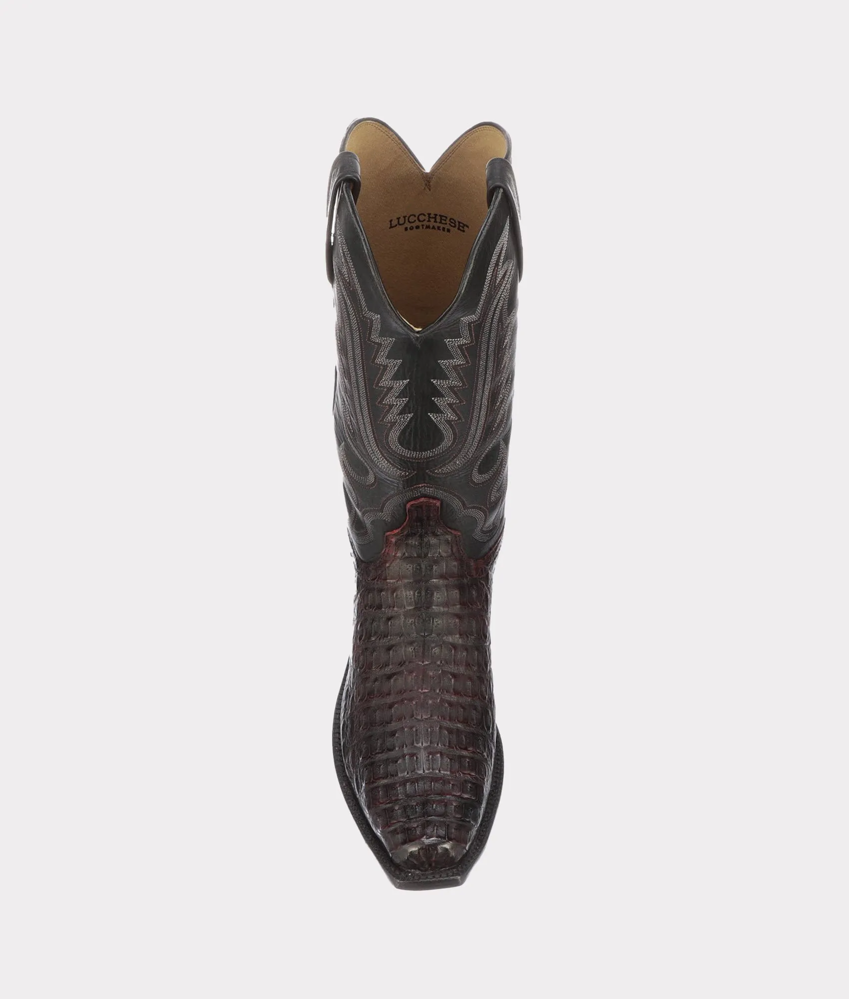 Walter :: Black Cherry   Black