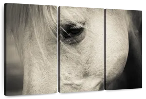 White Horse Eye Wall Art