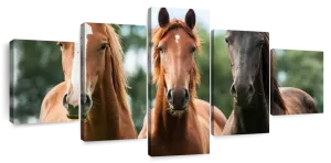 Young Horses Wall Art